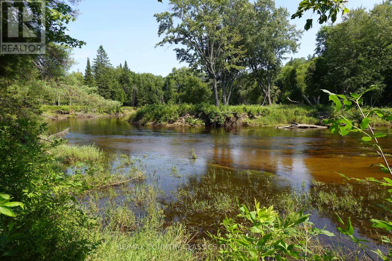 739b Bronson Road, Bancroft, Ontario  K0L 1C0 - Photo 16 - X12308360