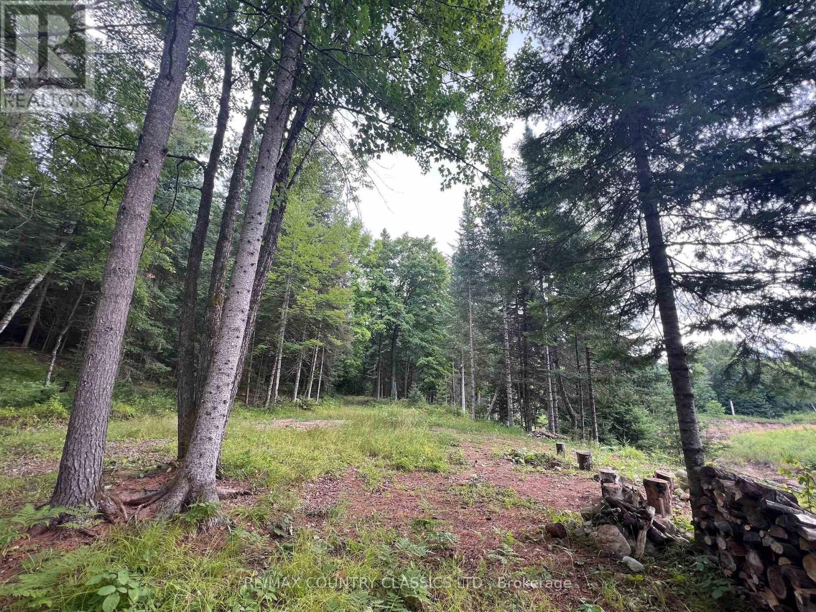 739b Bronson Road, Bancroft, Ontario  K0L 1C0 - Photo 24 - X12308360