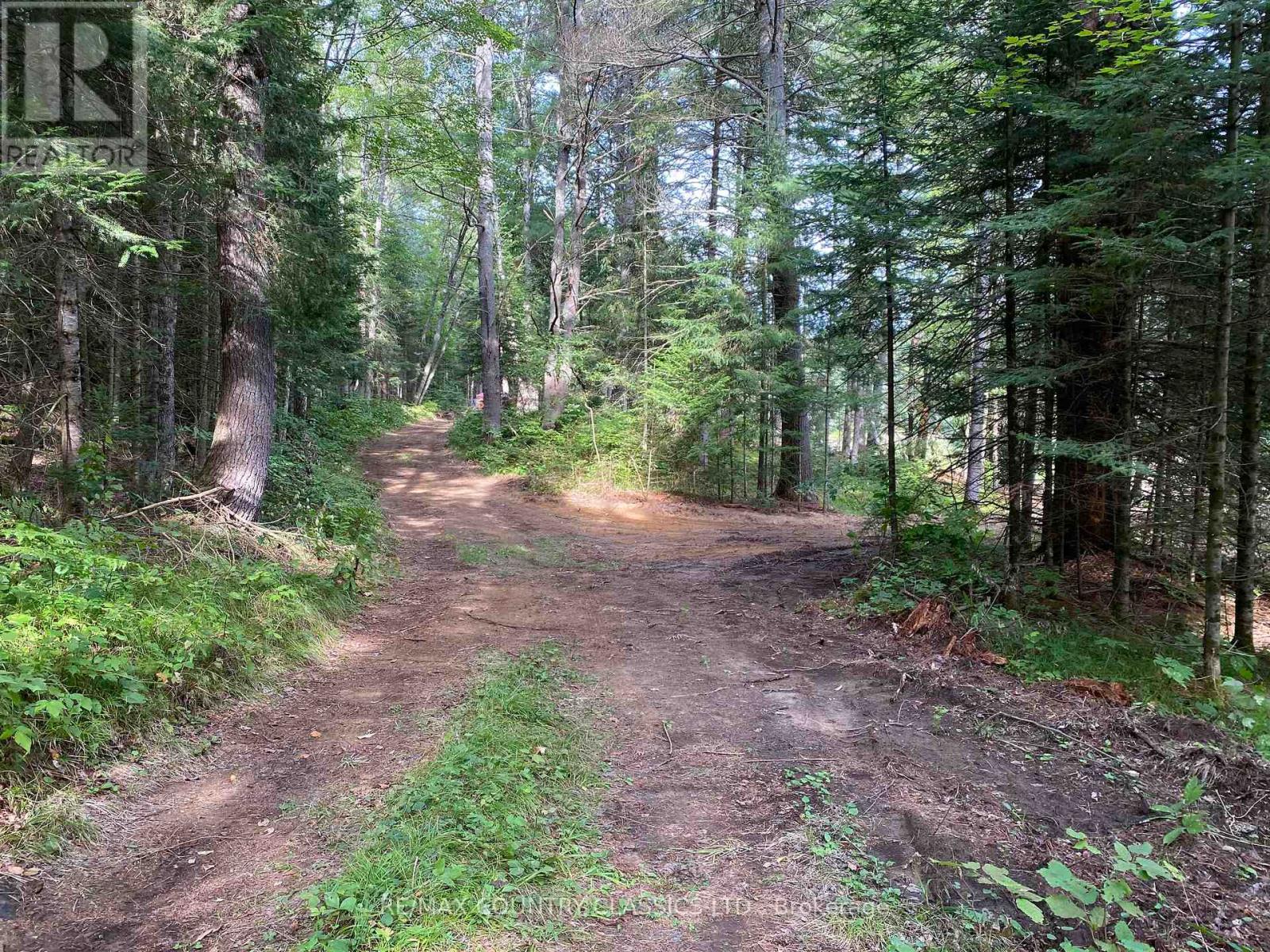 739b Bronson Road, Bancroft, Ontario  K0L 1C0 - Photo 33 - X12308360