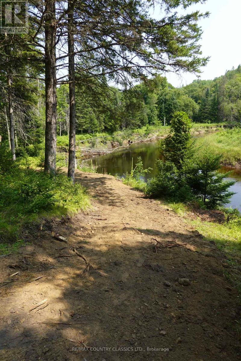 739b Bronson Road, Bancroft, Ontario  K0L 1C0 - Photo 12 - X12308360