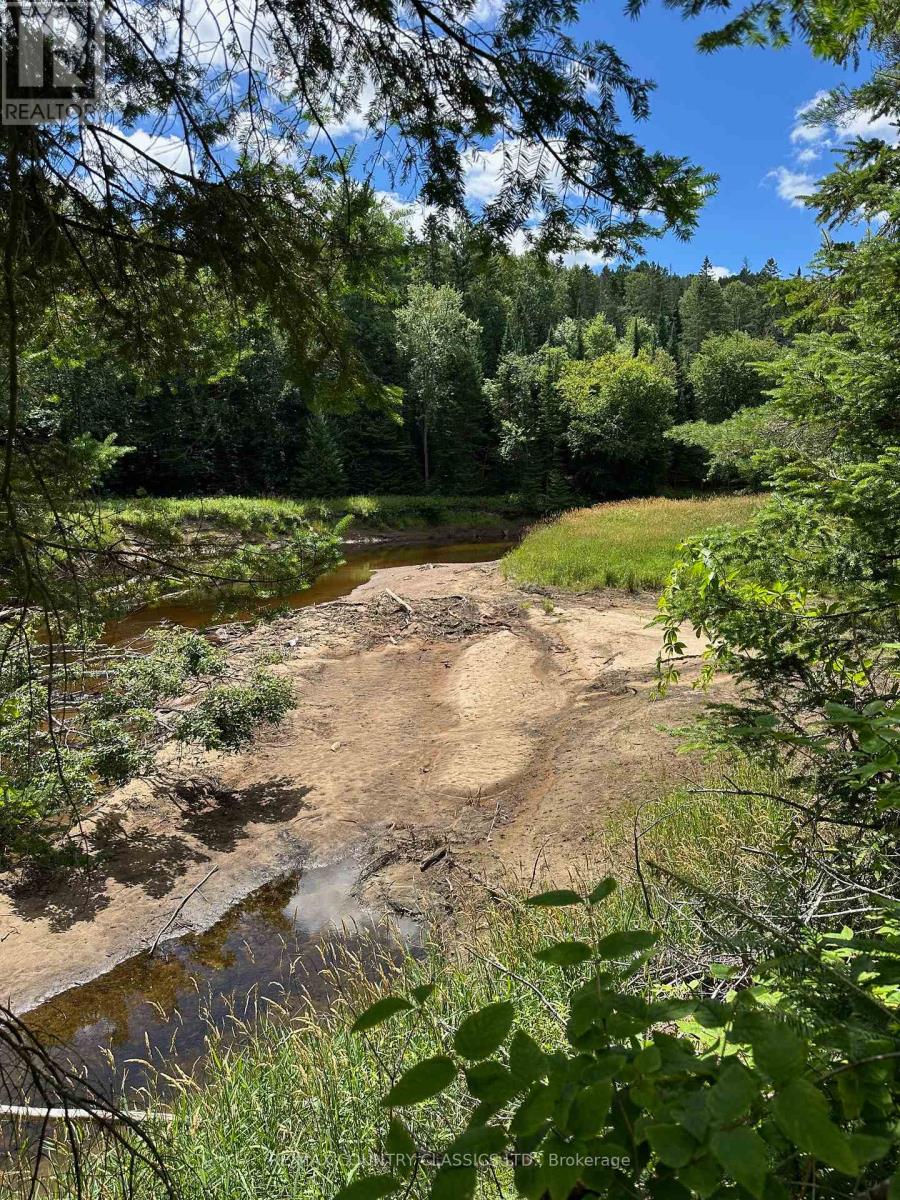 739b Bronson Road, Bancroft, Ontario  K0L 1C0 - Photo 43 - X12308360