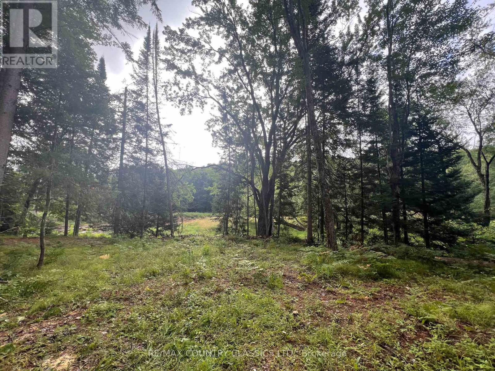 739b Bronson Road, Bancroft, Ontario  K0L 1C0 - Photo 21 - X12308360