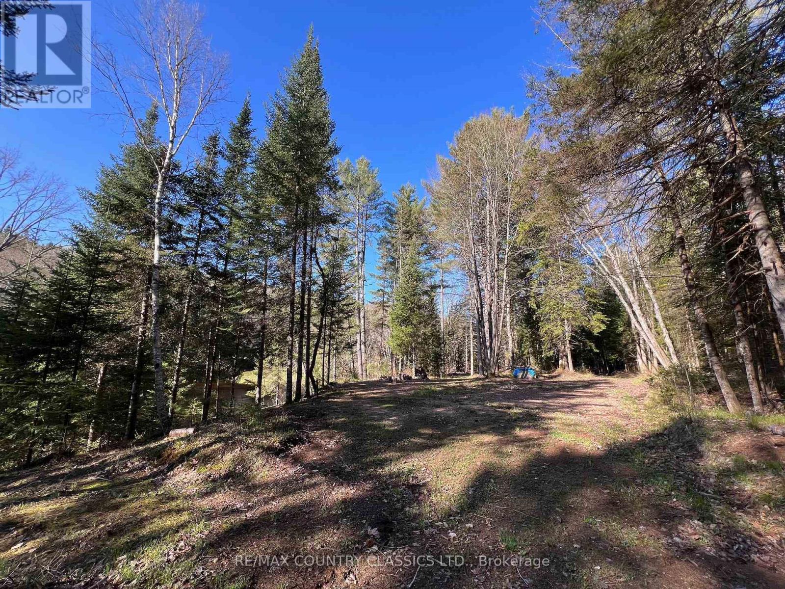 739b Bronson Road, Bancroft, Ontario  K0L 1C0 - Photo 19 - X12308360