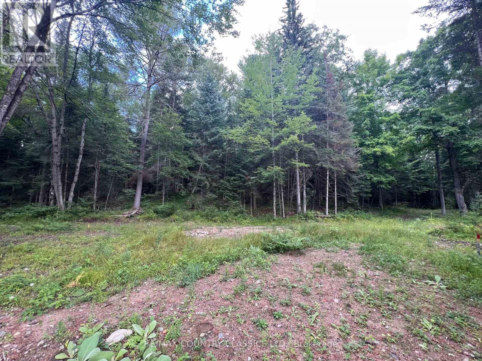 739b Bronson Road, Bancroft, Ontario  K0L 1C0 - Photo 25 - X12308360