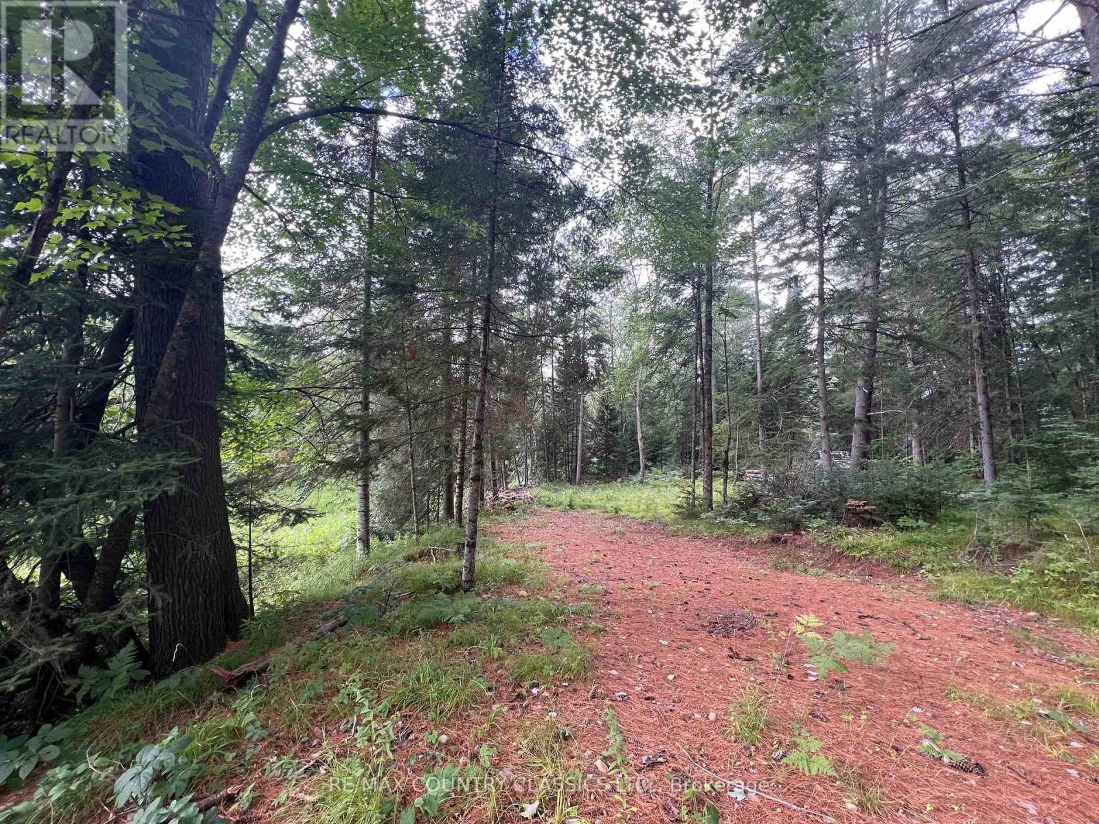 739b Bronson Road, Bancroft, Ontario  K0L 1C0 - Photo 23 - X12308360