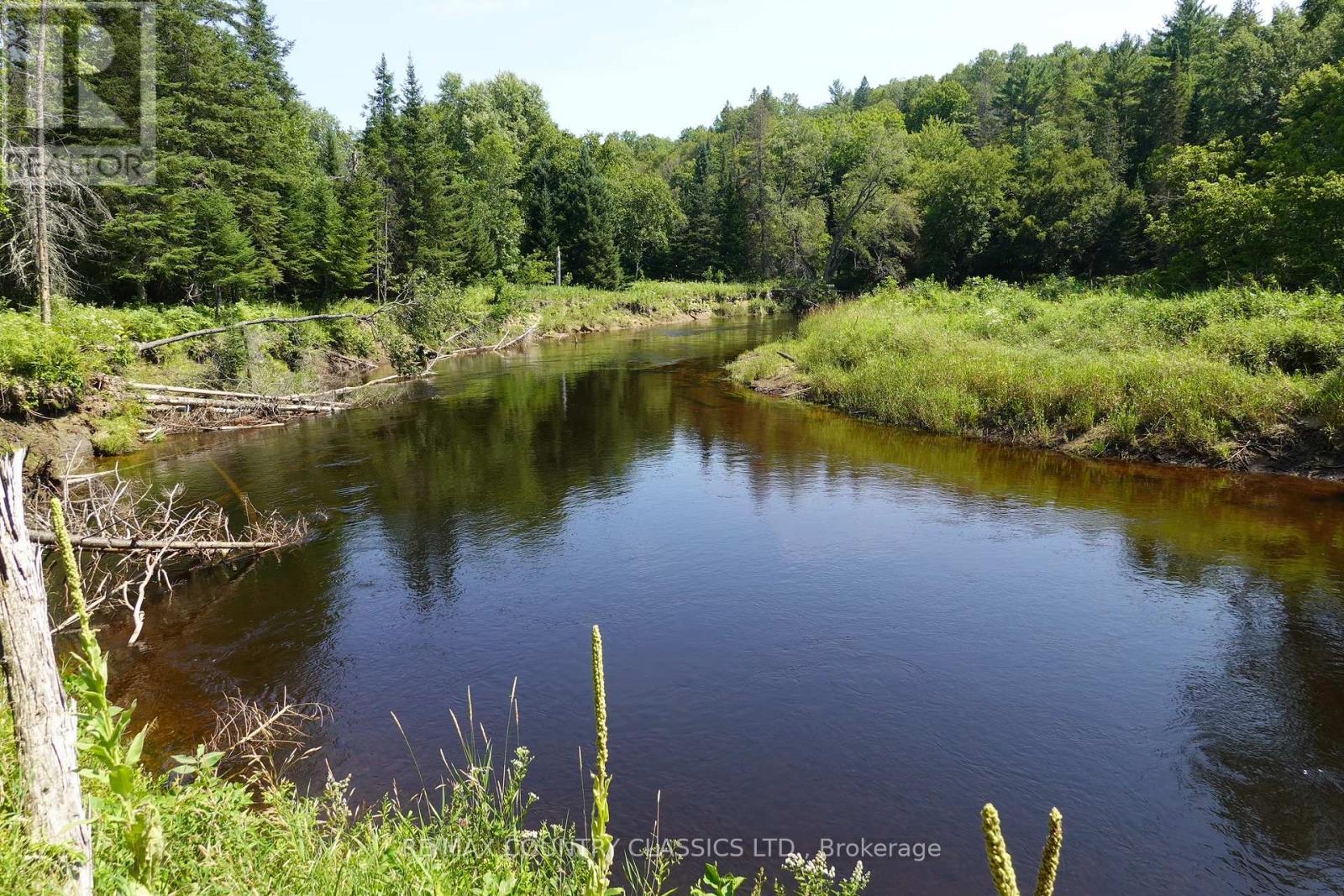 739b Bronson Road, Bancroft, Ontario  K0L 1C0 - Photo 4 - X12308360