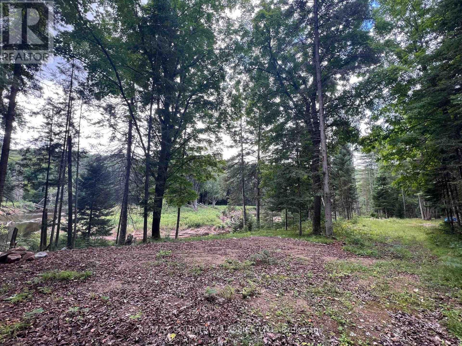 739b Bronson Road, Bancroft, Ontario  K0L 1C0 - Photo 27 - X12308360