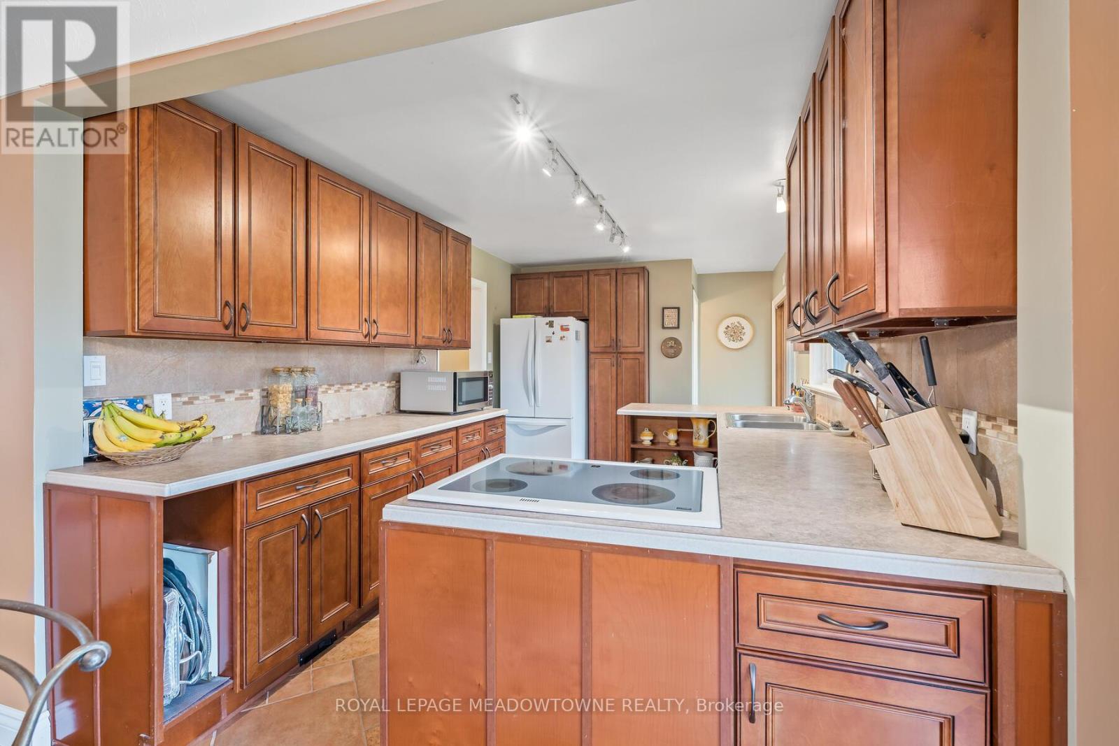 11317 Regional Road 25, Halton Hills, Ontario  L7J 2M1 - Photo 13 - W12308363
