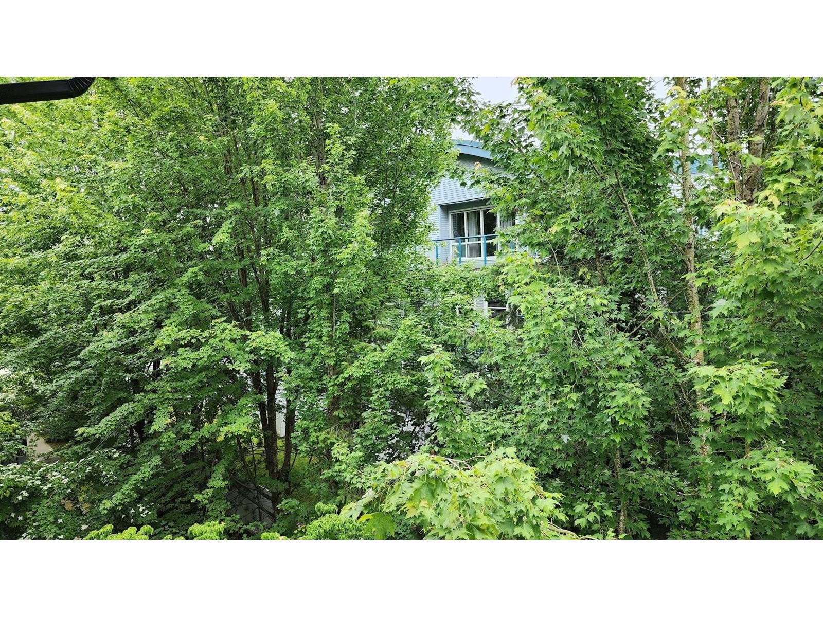 406 10088 148 Street, Surrey, British Columbia  V3R 3M9 - Photo 16 - R3030905