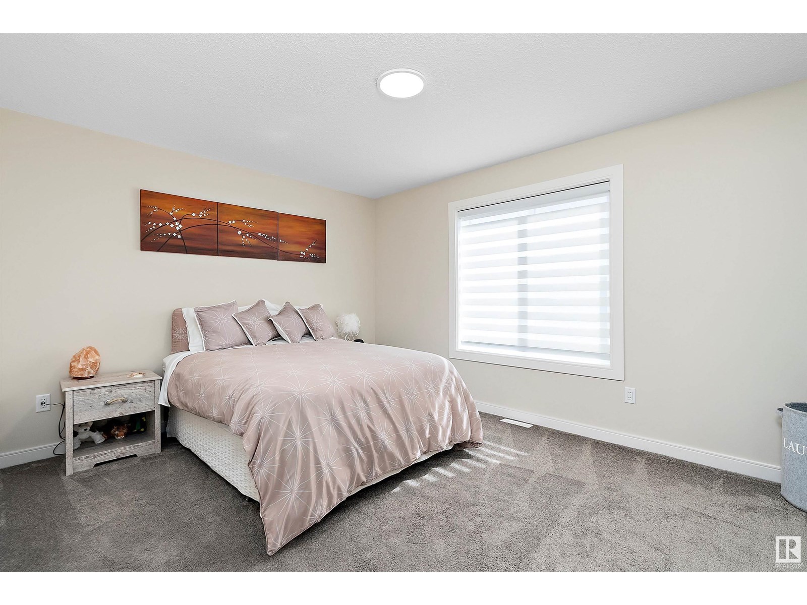 7819 Yorke Rd Nw, Edmonton, Alberta  T5G 2R6 - Photo 20 - E4449785
