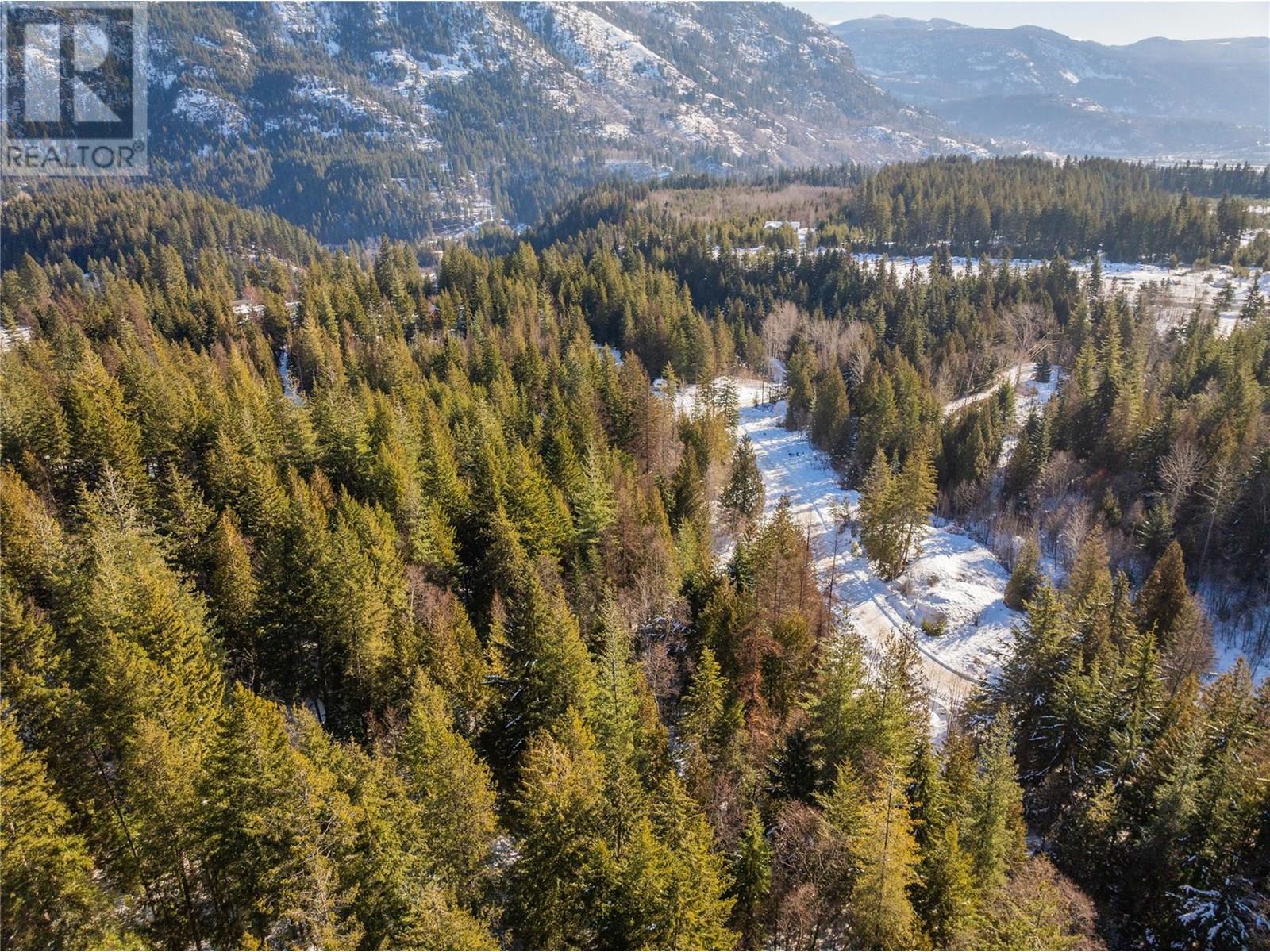 Lot 91 Mountain Ridge Road, Castlegar, British Columbia  V0G 1G0 - Photo 10 - 10357291