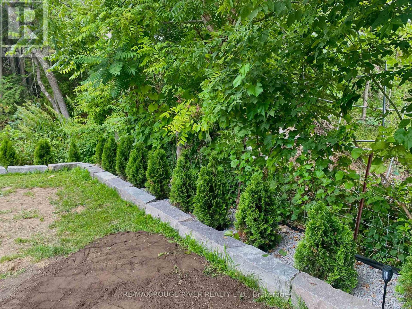 1-185 Dunnette Landing Road, Alnwick/haldimand, Ontario  K0K 2X0 - Photo 24 - X12308719