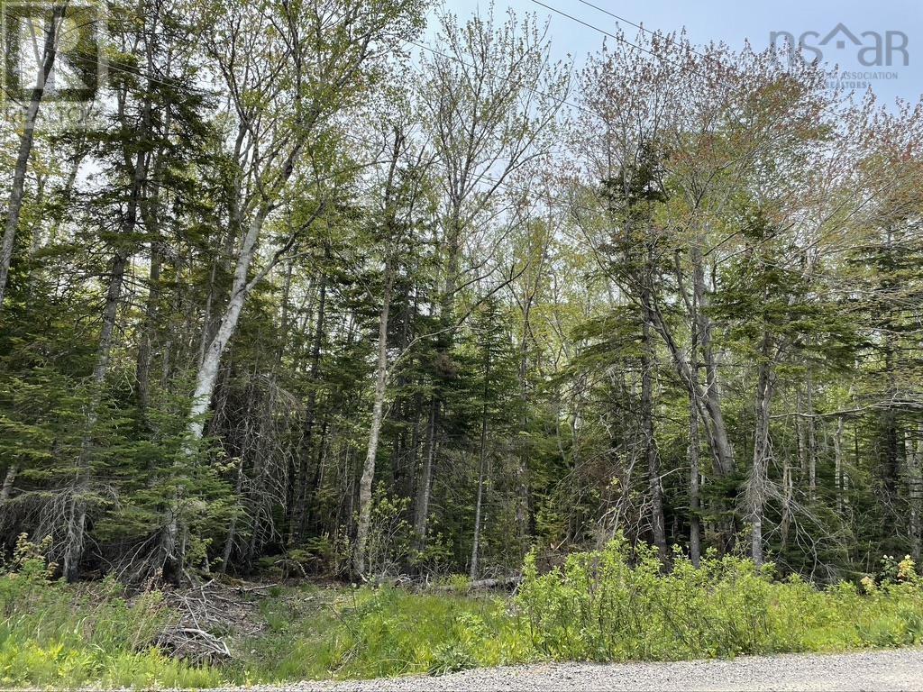 Beverly's Hill Road, Baddeck Inlet, Nova Scotia  B0E 1B0 - Photo 1 - 202414679