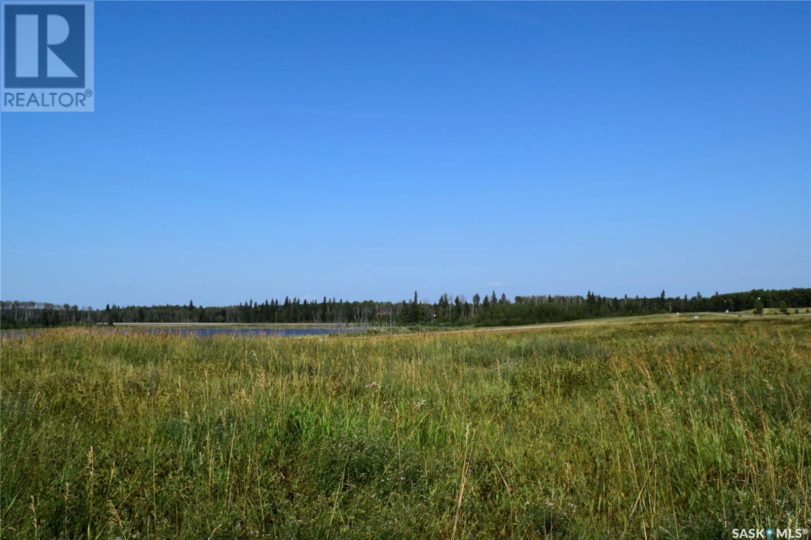 300 South Shore Estates, Paddockwood Rm No. 520, Saskatchewan  S0J 0N0 - Photo 10 - SK013848