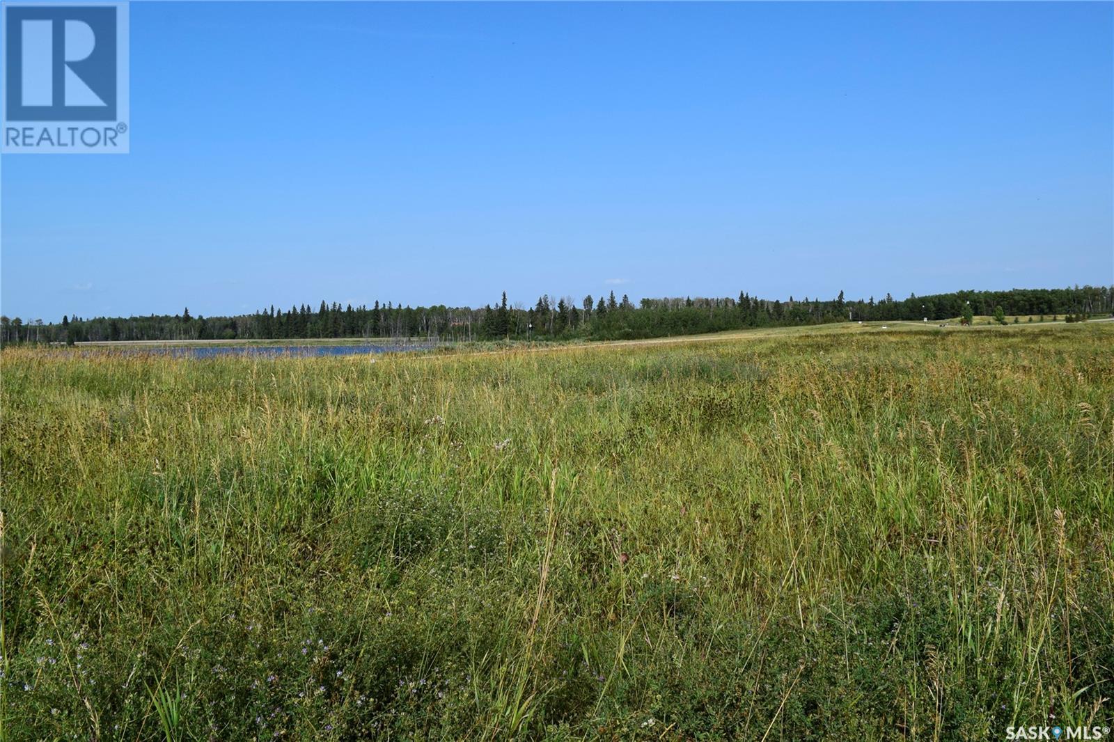300 South Shore Estates, Paddockwood Rm No. 520, Saskatchewan  S0J 0N0 - Photo 8 - SK013848