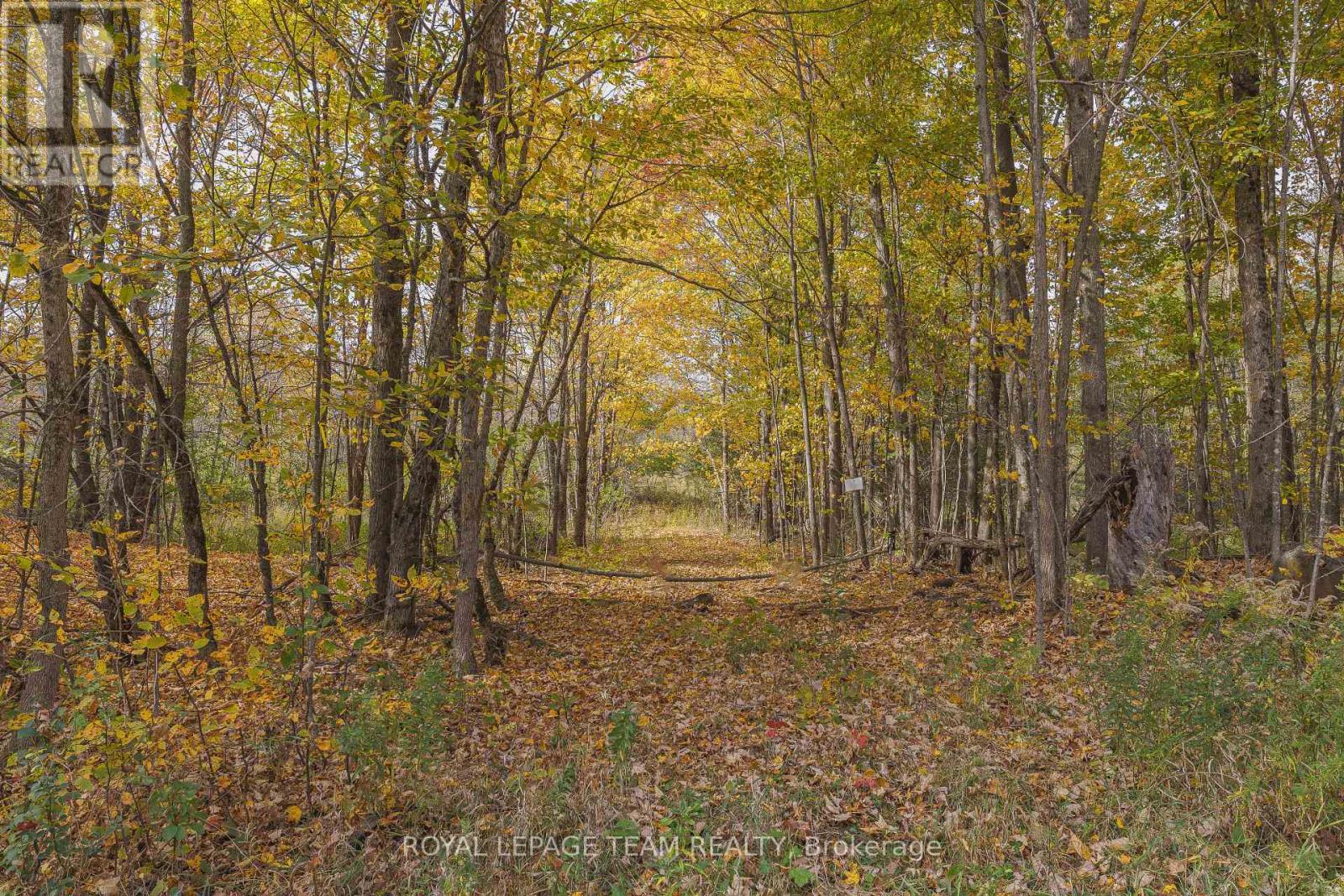 Lot 7 10th Concession B Road, Lanark Highlands, Ontario  K0A 1A0 - Photo 3 - X12308762