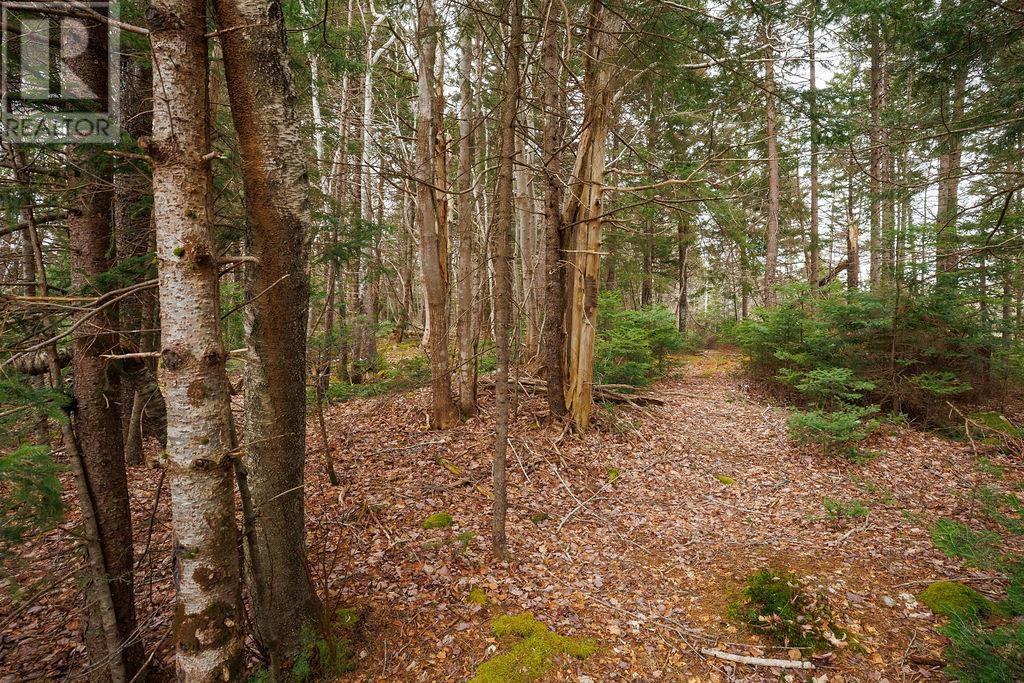 187 Bloomfield Road, Barton, Nova Scotia  B0W 1H0 - Photo 42 - 202508000
