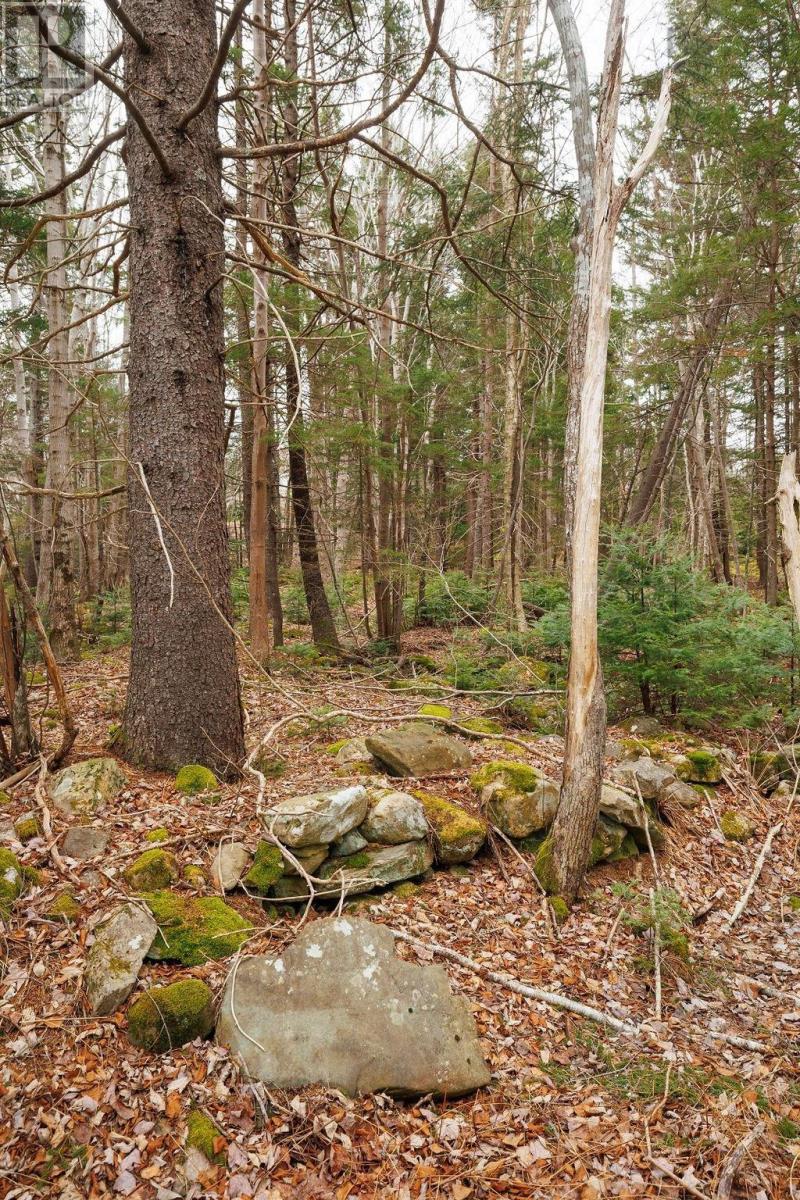 187 Bloomfield Road, Barton, Nova Scotia  B0W 1H0 - Photo 44 - 202508000