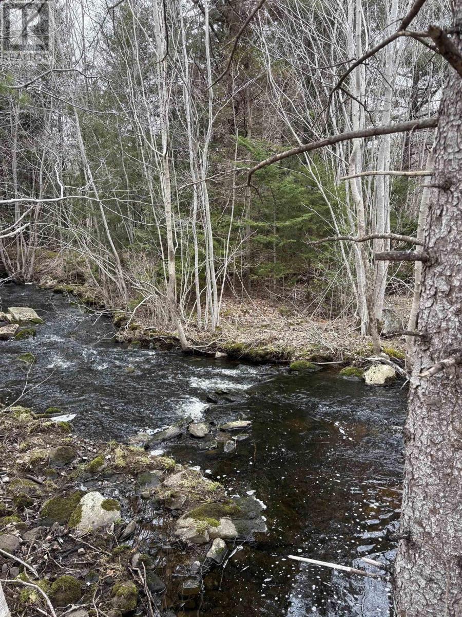 187 Bloomfield Road, Barton, Nova Scotia  B0W 1H0 - Photo 41 - 202508000