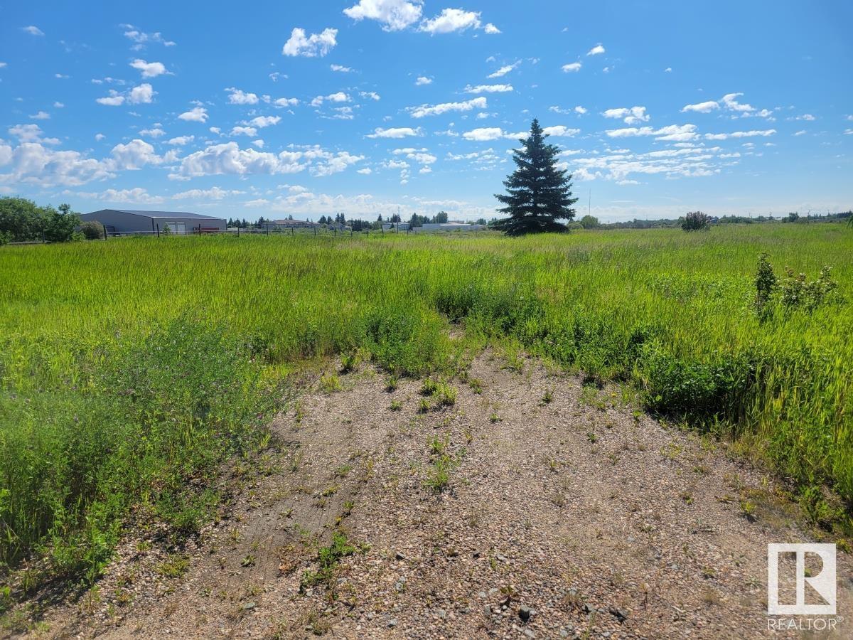 5039 56 St, Tofield, Alberta  T0B 4J0 - Photo 3 - E4449847