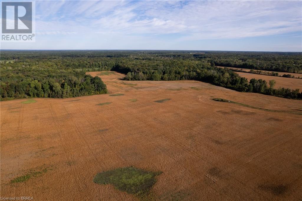 N/a 3rd Conc Road, St. Williams, Ontario  N0E 1P0 - Photo 4 - 40657363