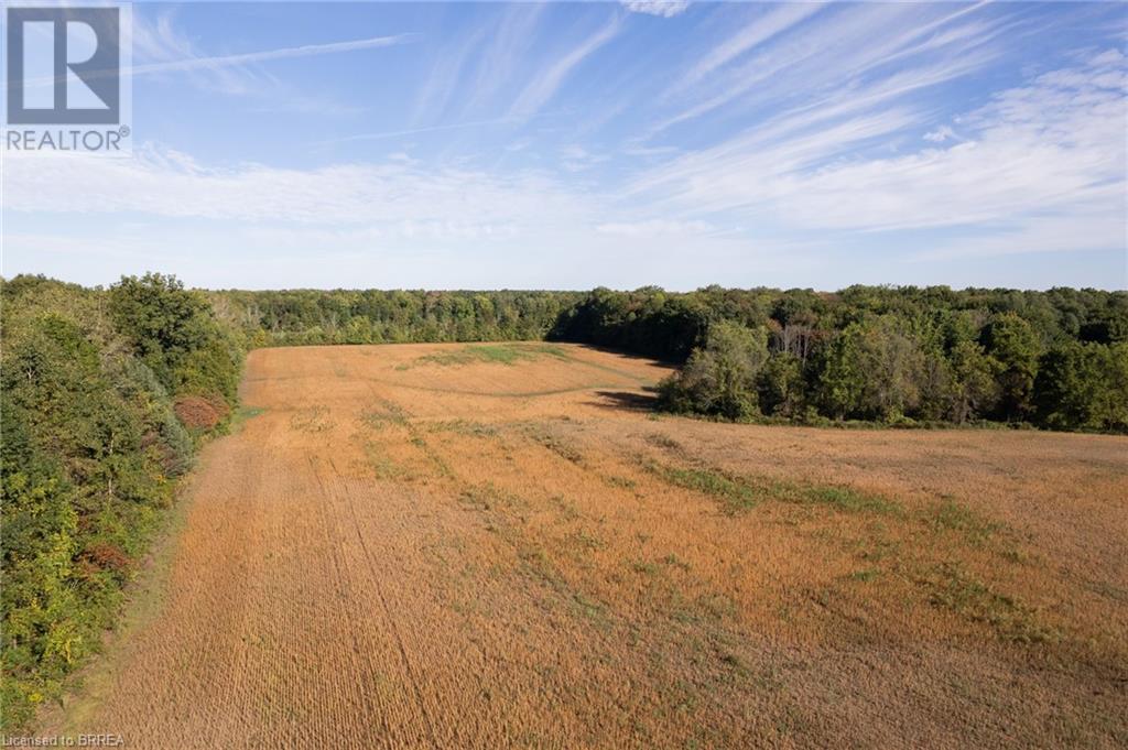 N/a 3rd Conc Road, St. Williams, Ontario  N0E 1P0 - Photo 15 - 40657363