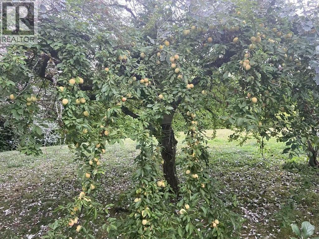 7668 Wheater Court, Burnaby, British Columbia V5E 4P3 - Photo 12 - R2995038