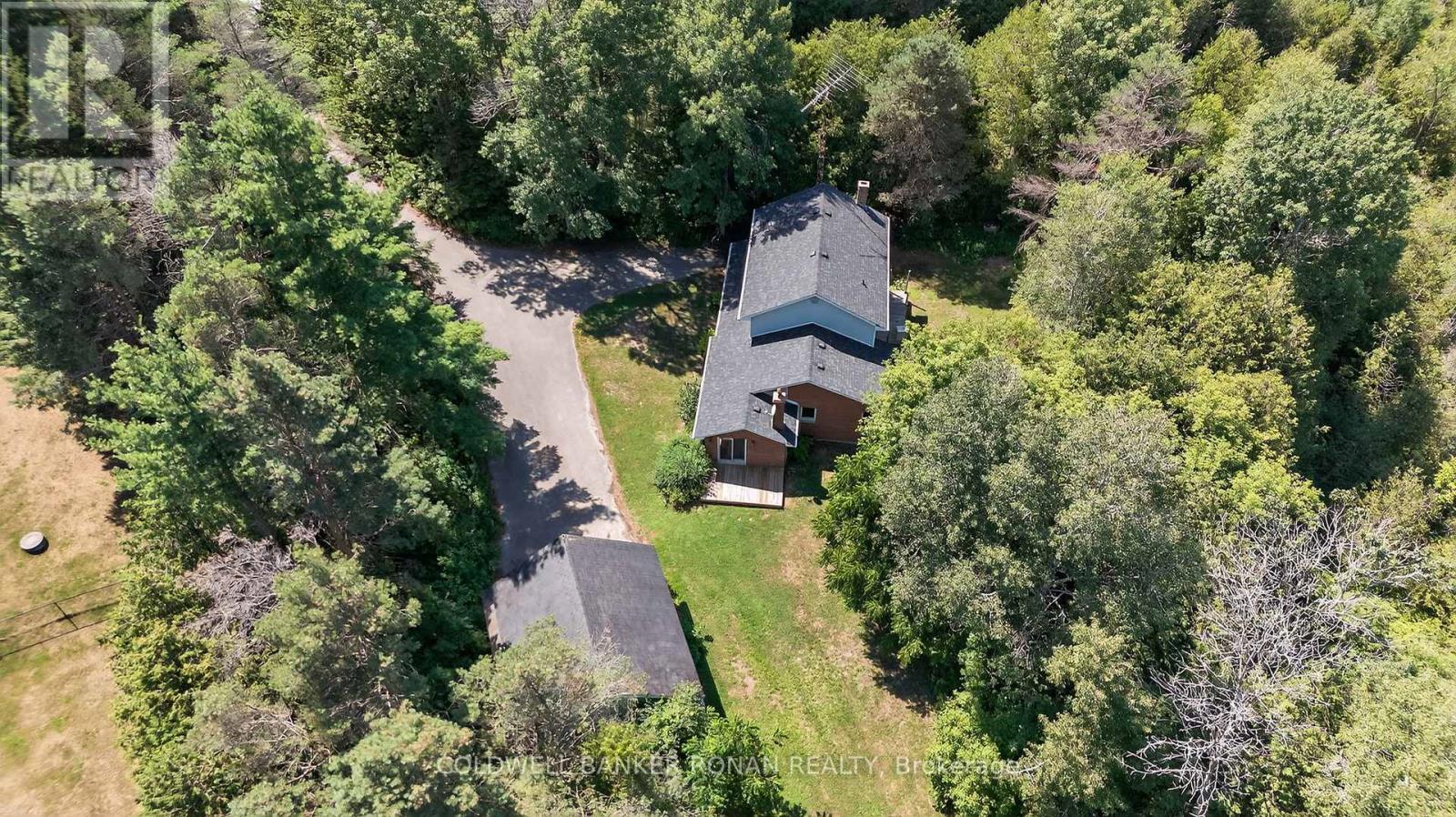 2045 Concession Rd 7, Adjala-Tosorontio, Ontario  L0G 1W0 - Photo 38 - N12308093