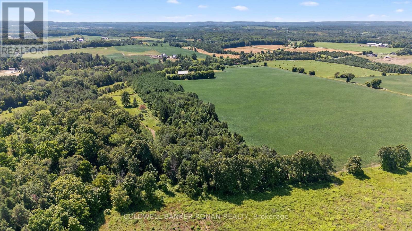 2045 Concession Rd 7, Adjala-Tosorontio, Ontario  L0G 1W0 - Photo 40 - N12308093