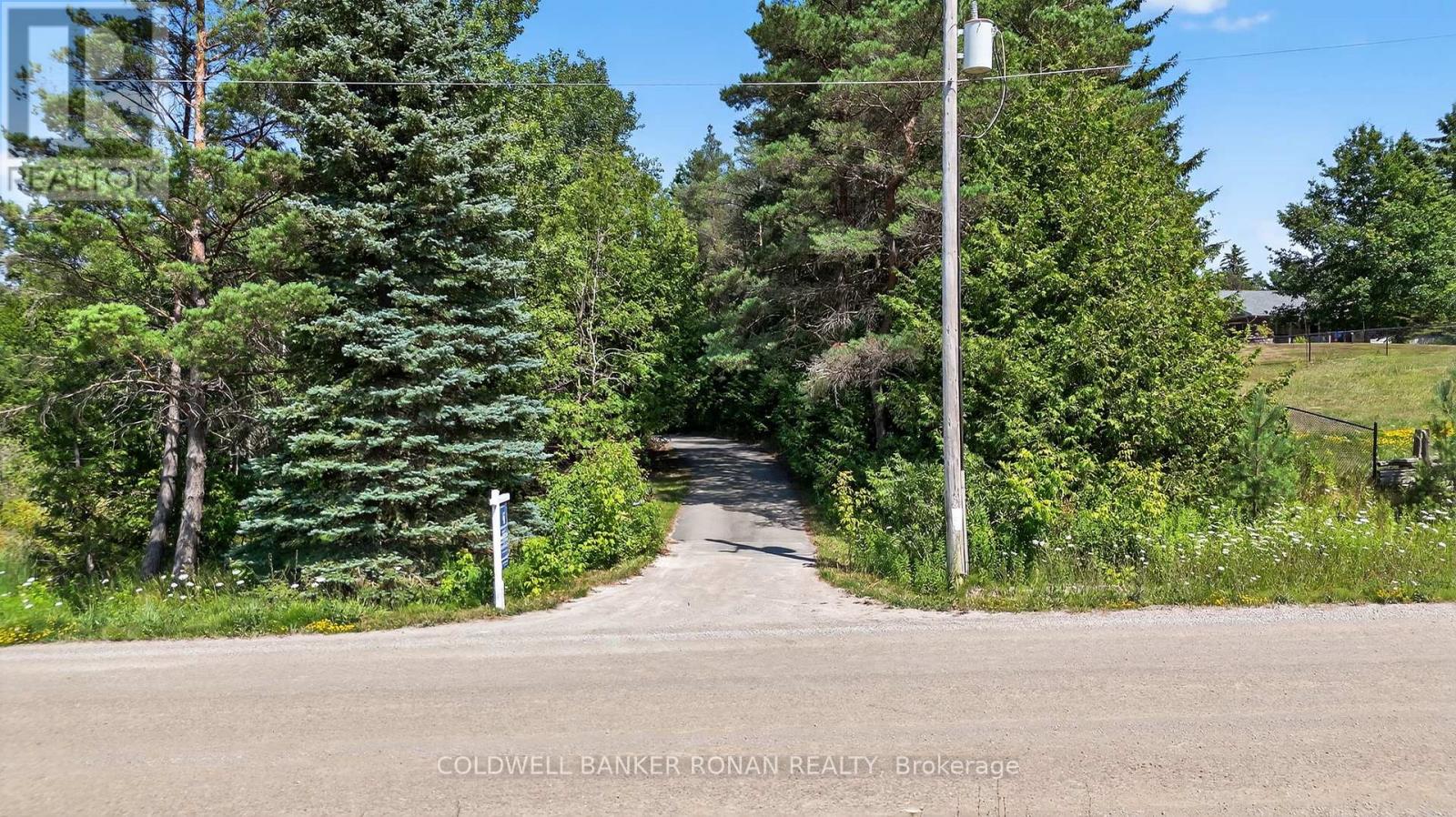 2045 Concession Rd 7, Adjala-Tosorontio, Ontario  L0G 1W0 - Photo 42 - N12308093
