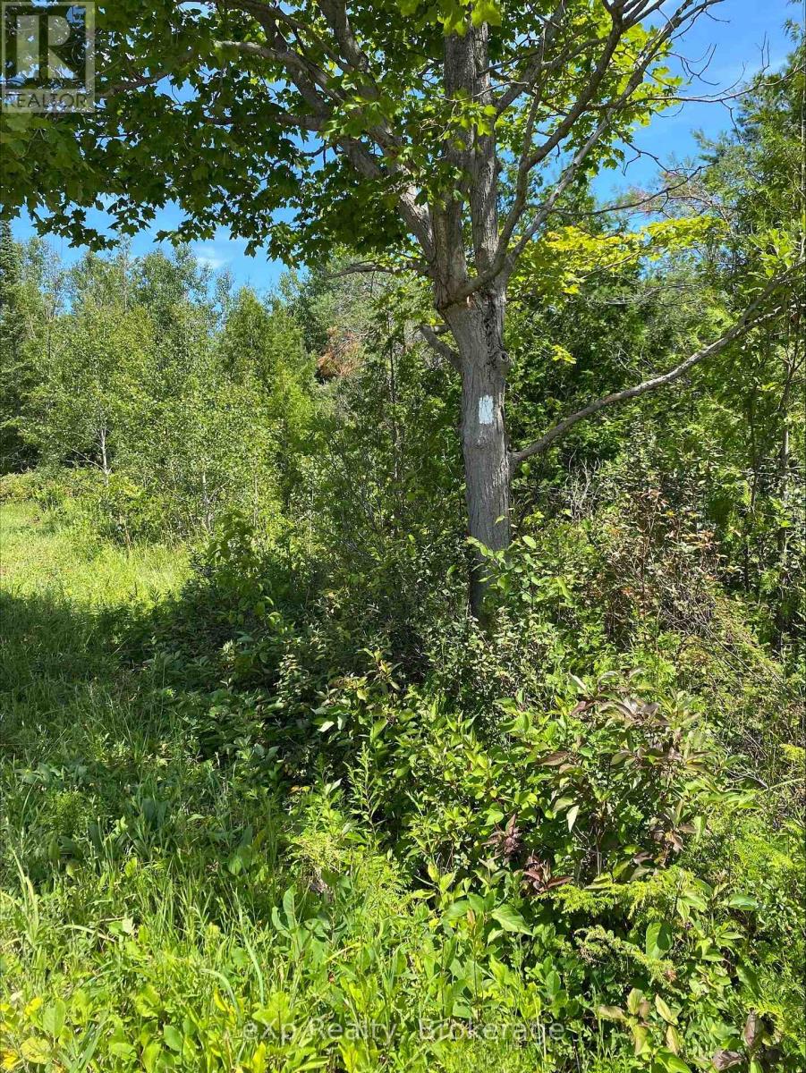 Part Lot 40 Lindsay Road 40, Northern Bruce Peninsula, Ontario  N0H 1Z0 - Photo 2 - X12308967