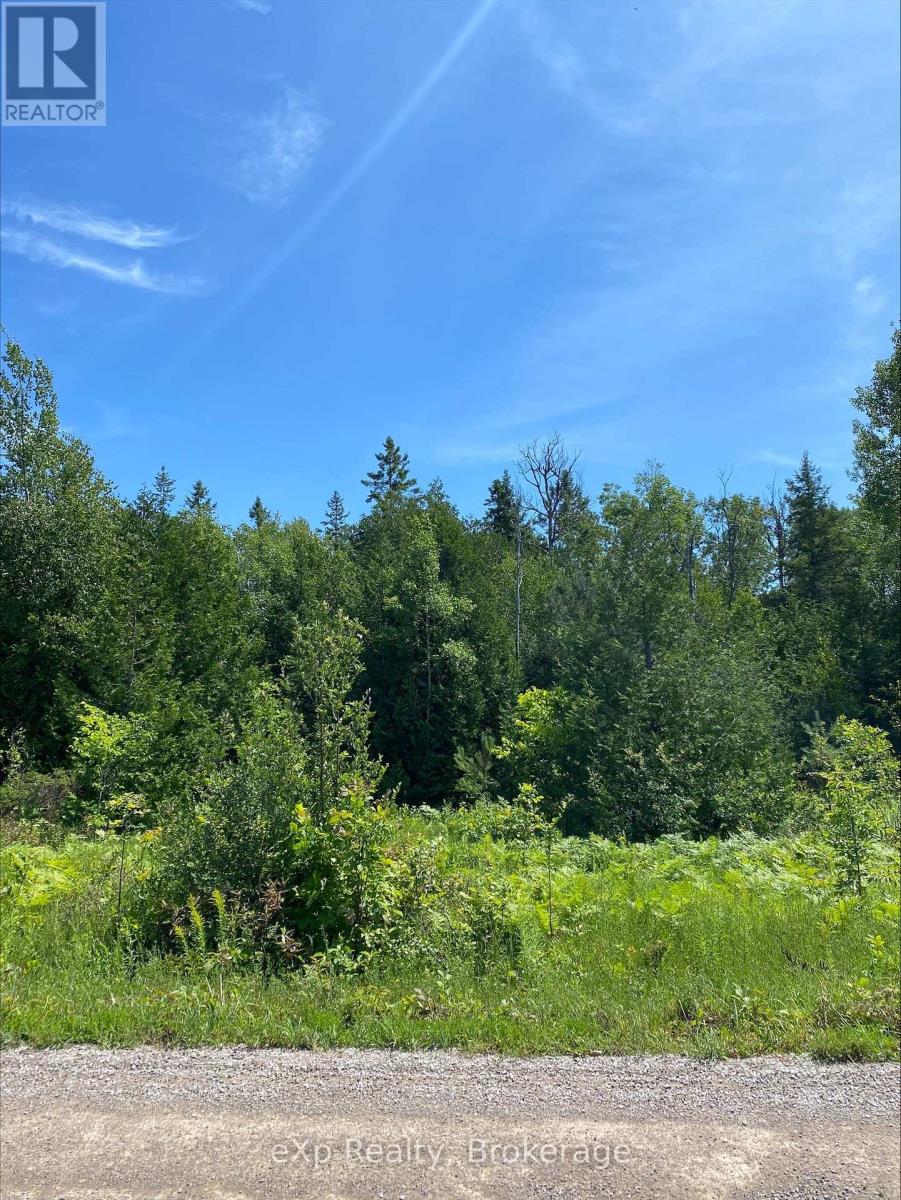 Part Lot 40 Lindsay Road 40, Northern Bruce Peninsula, Ontario  N0H 1Z0 - Photo 3 - X12308967