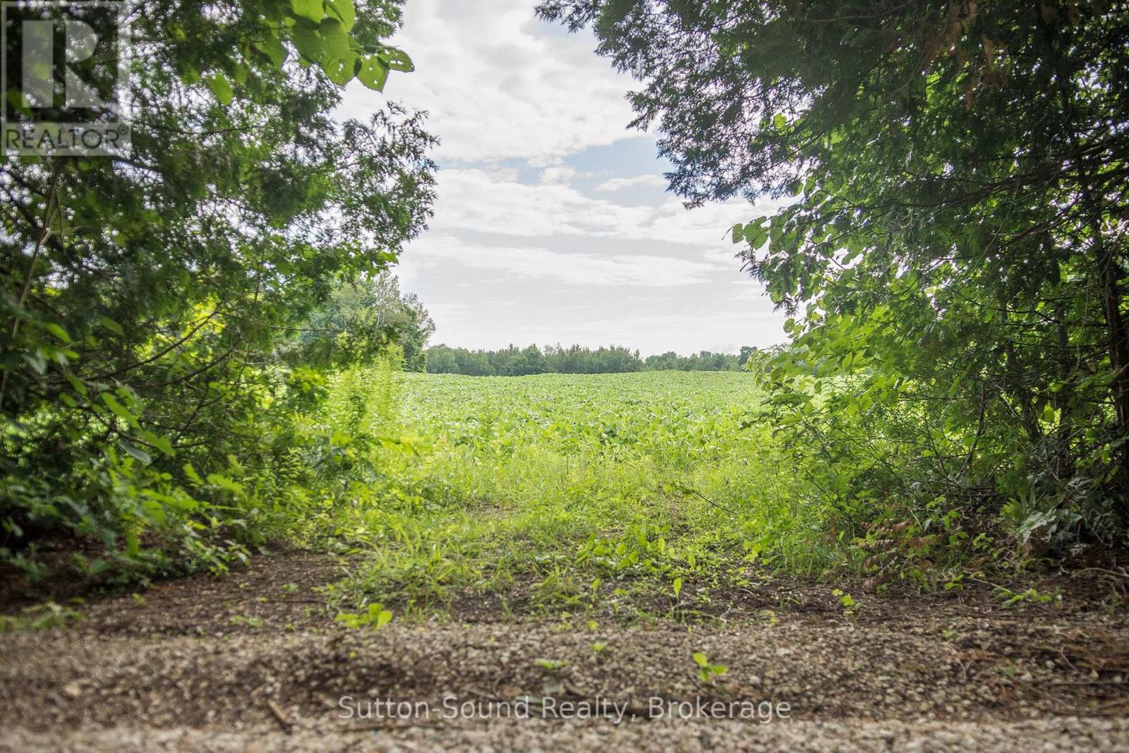 Pl11-12 10 Side Road, Chatsworth, Ontario  N0H 1G0 - Photo 6 - X12308978