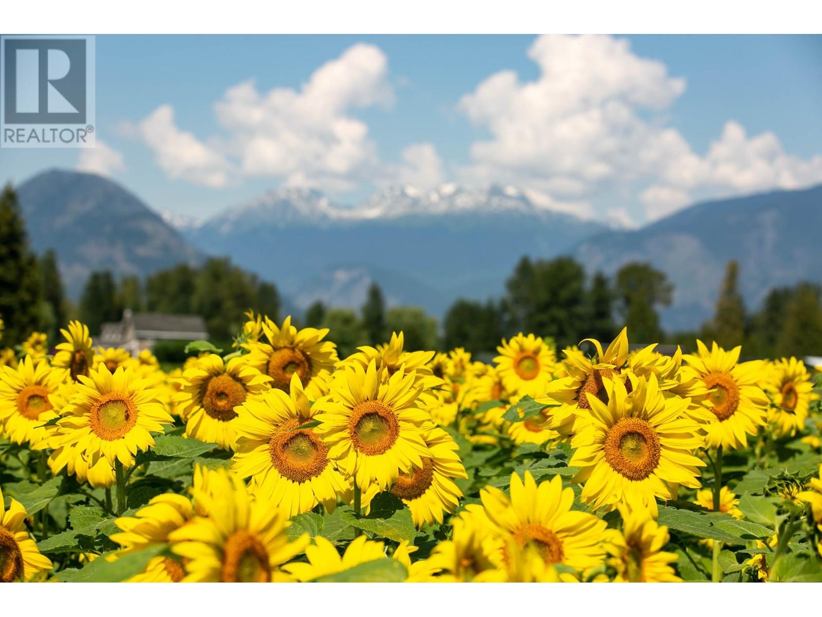 7634 Seven O'clock Drive, Pemberton, British Columbia  V0N 2L3 - Photo 26 - R3029430