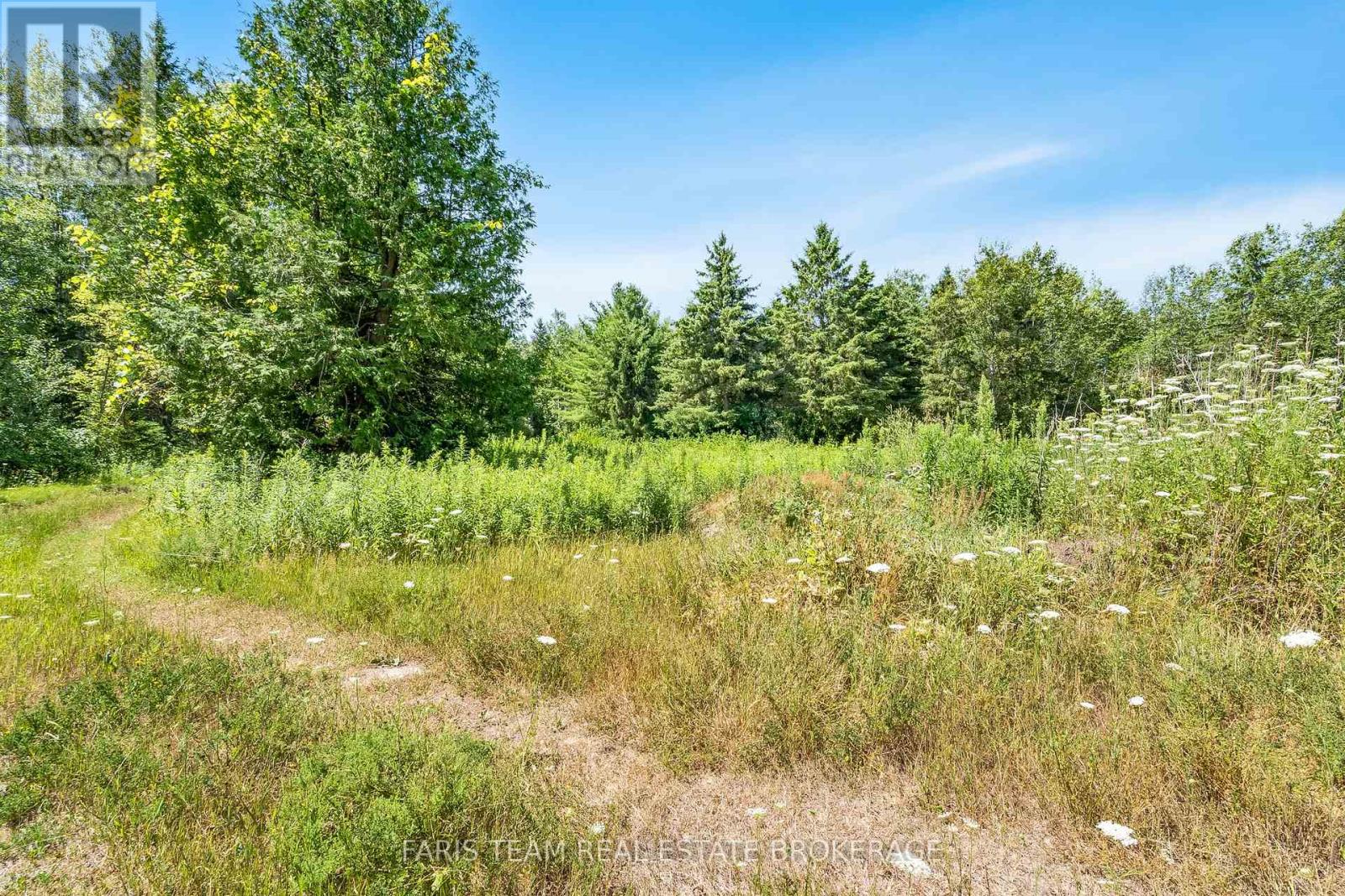 8018 8th Line, Essa, Ontario  L0M 1T0 - Photo 5 - N12309074