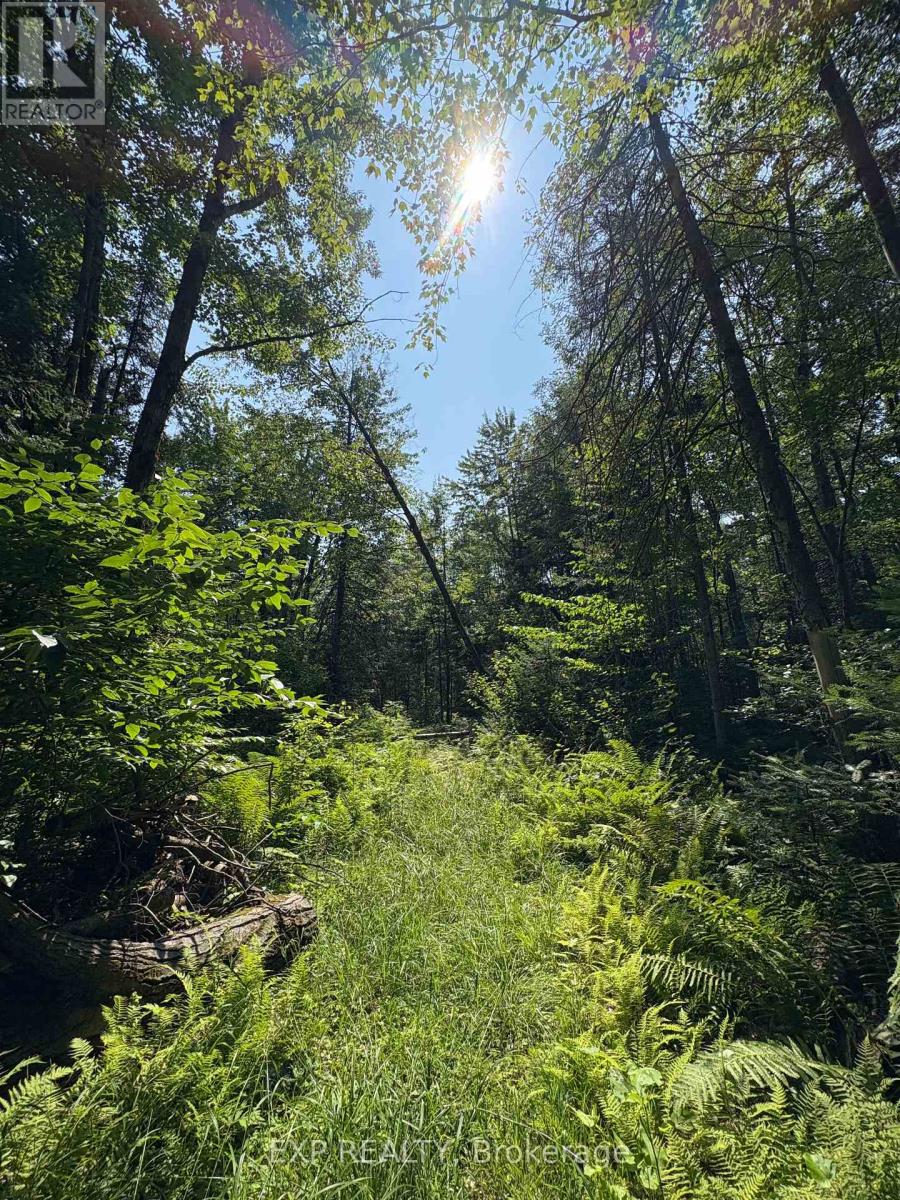 0 Lot 1 Conc. 2 Part 4 Boundary Road, Alfred And Plantagenet, Ontario  K0B 1L0 - Photo 10 - X12309145