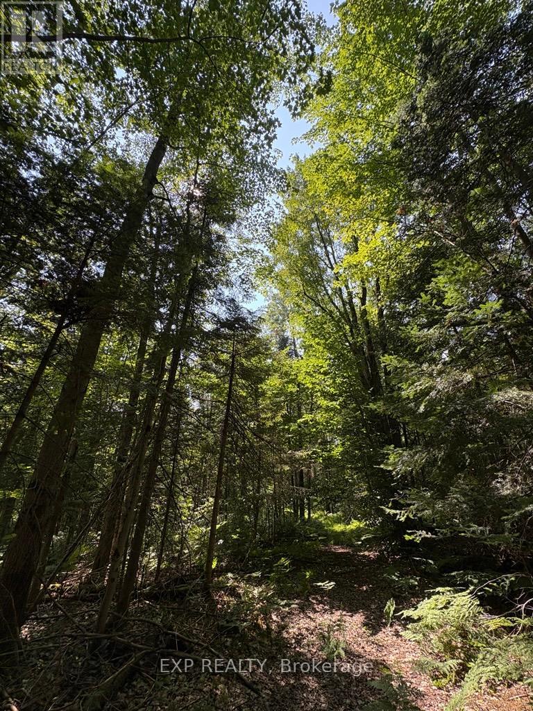 0 Lot 1 Conc. 2 Part 4 Boundary Road, Alfred And Plantagenet, Ontario  K0B 1L0 - Photo 4 - X12309145