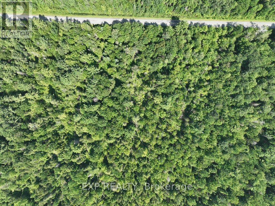 0 Lot 1 Conc. 2 Part 4 Boundary Road, Alfred And Plantagenet, Ontario  K0B 1L0 - Photo 9 - X12309145