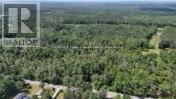 1066 Uffington Road, Bracebridge, Ontario  P1L 1X1 - Photo 7 - X12309173