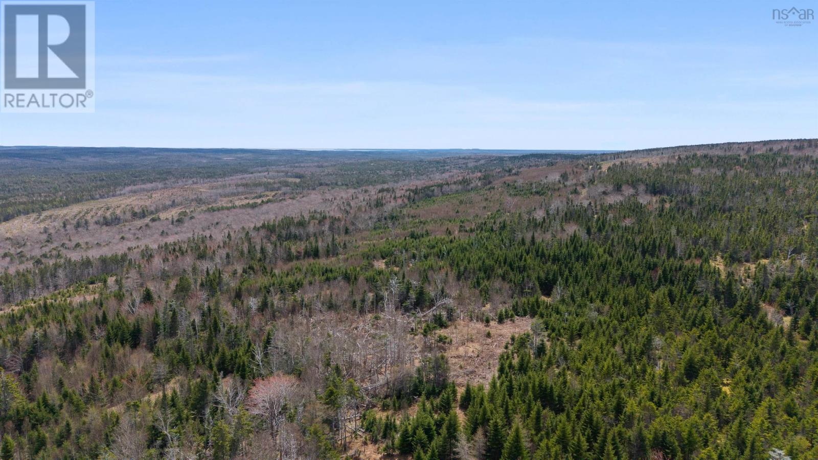 6260 West Bay Road, Roberta, Nova Scotia  B0E 3K0 - Photo 11 - 202508227