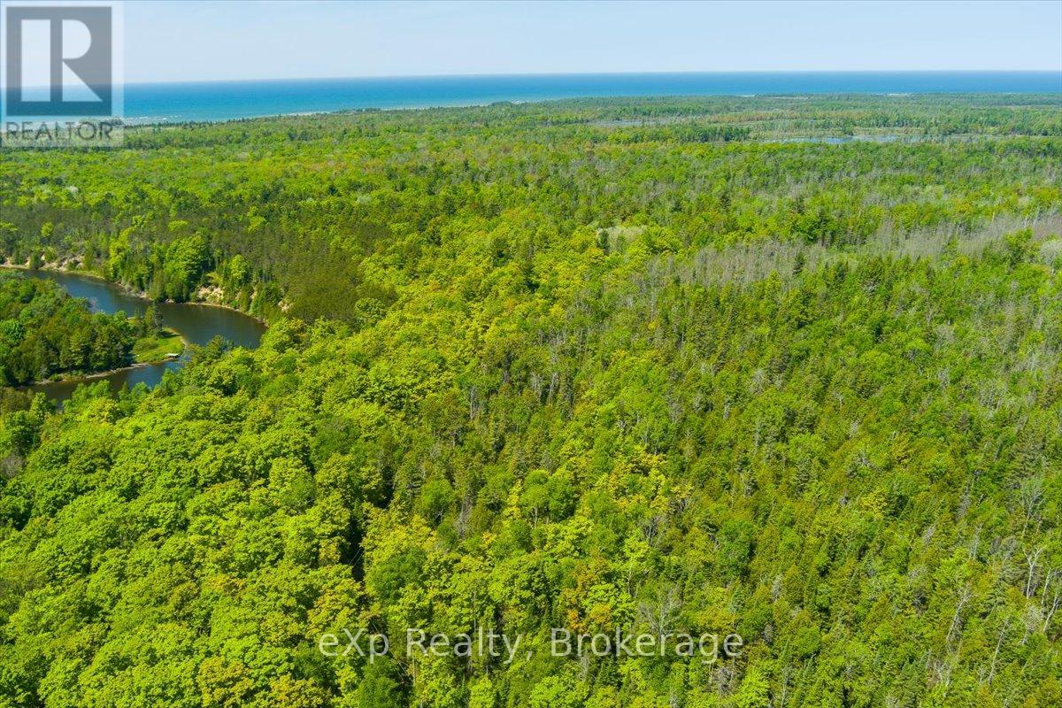 78 Indian Trail, South Bruce Peninsula, Ontario  N0H 2G0 - Photo 44 - X12306504