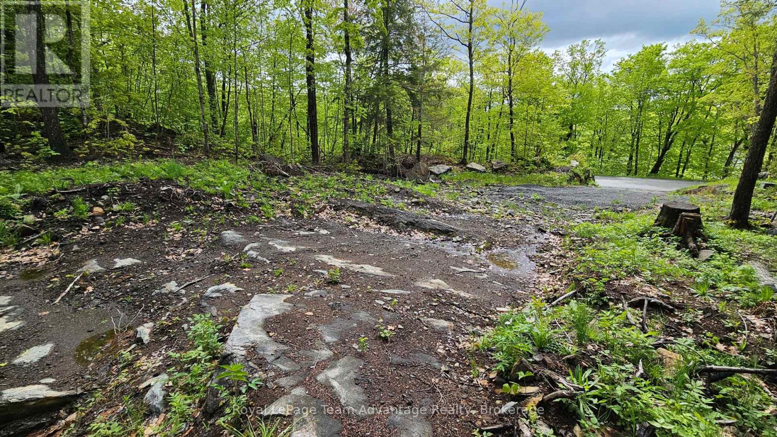 31 Pinewood Road, Mcdougall, Ontario  P2A 2W7 - Photo 10 - X12173074