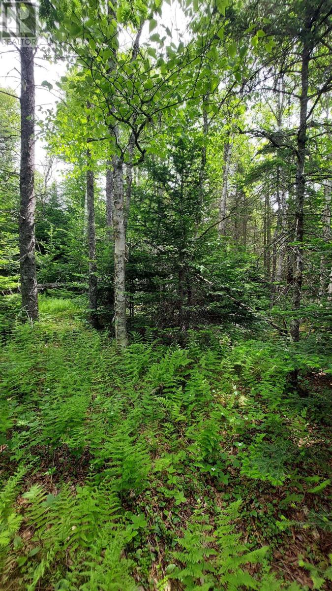 Lot 22 Kopylov Lane, Kempt Road, Nova Scotia  B0E 1J0 - Photo 15 - 202514957