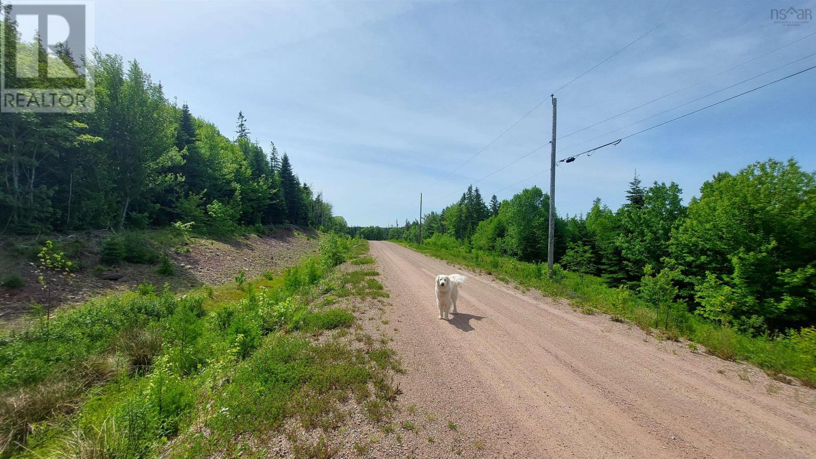 Lot 22 Kopylov Lane, Kempt Road, Nova Scotia  B0E 1J0 - Photo 5 - 202514957