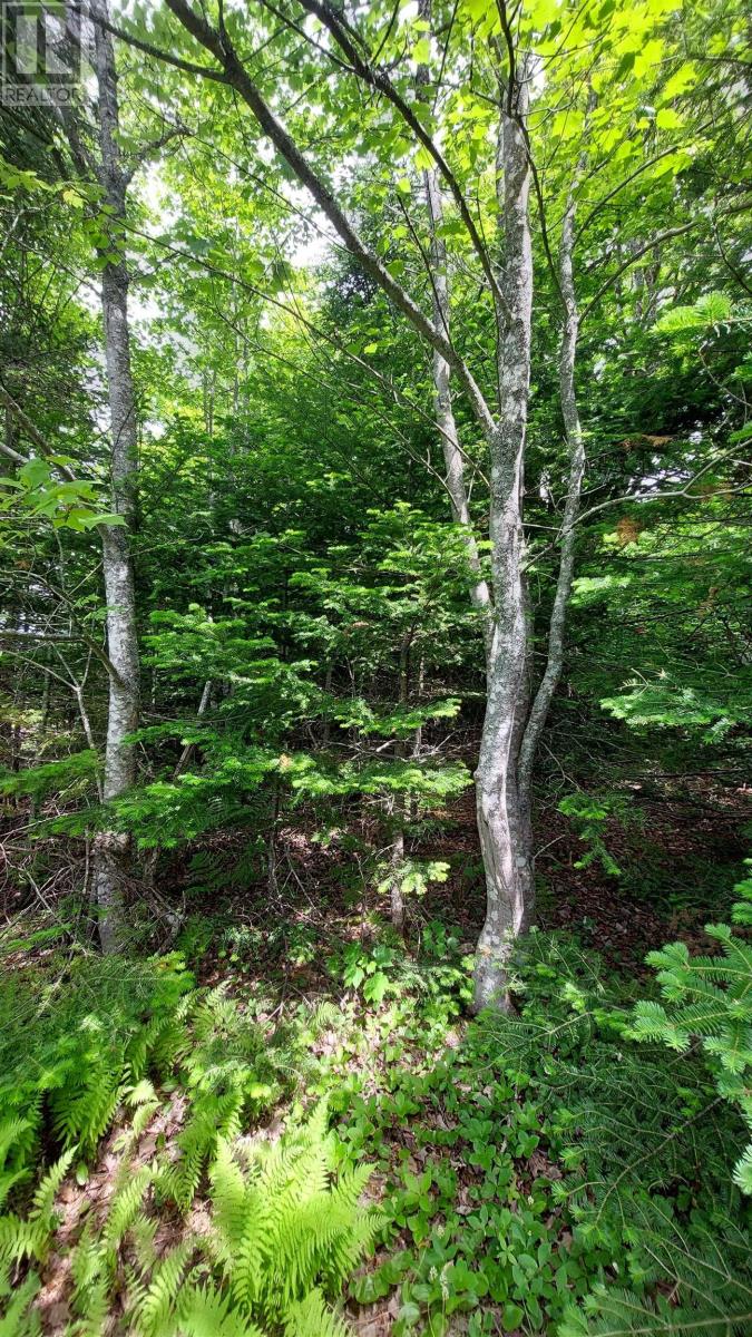 Lot 22 Kopylov Lane, Kempt Road, Nova Scotia  B0E 1J0 - Photo 13 - 202514957