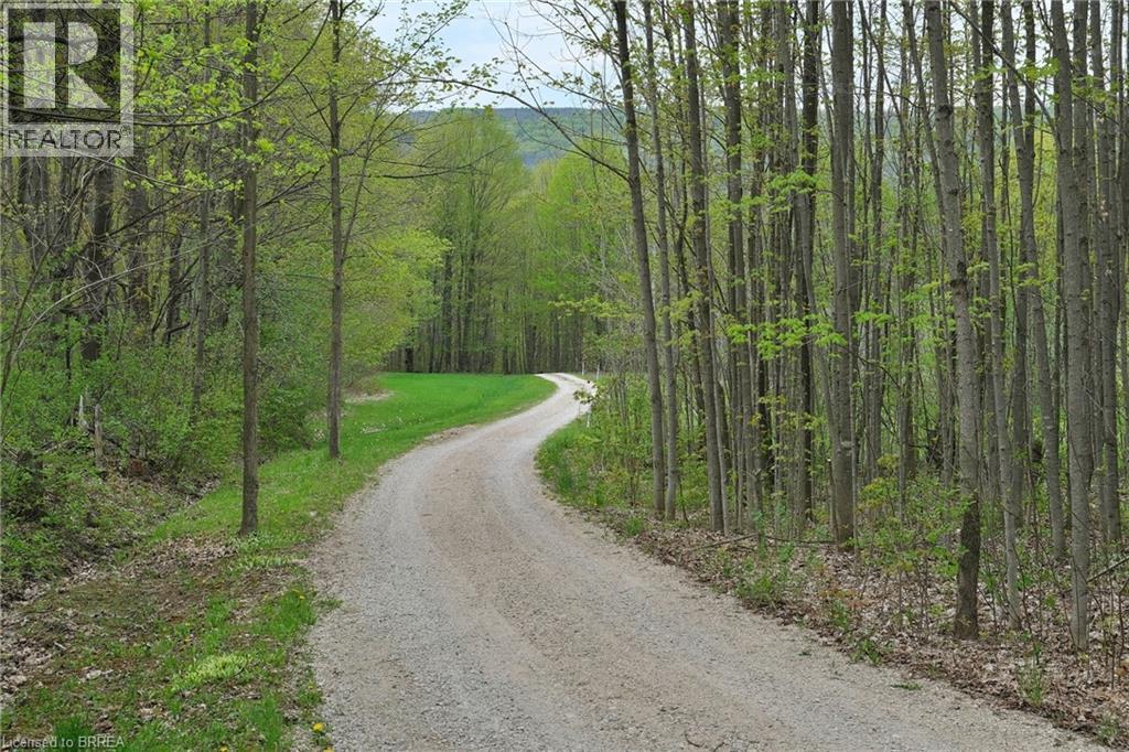 546299 Sideroad 4b, Kimberley, Ontario  N0C 1G0 - Photo 25 - 40753680