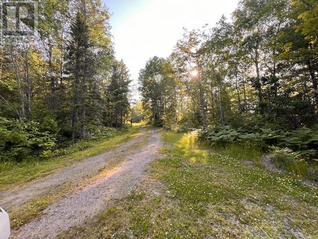 1 Pearson Rd, Rainy Lake, Ontario  P9A 0A1 - Photo 30 - TB252311