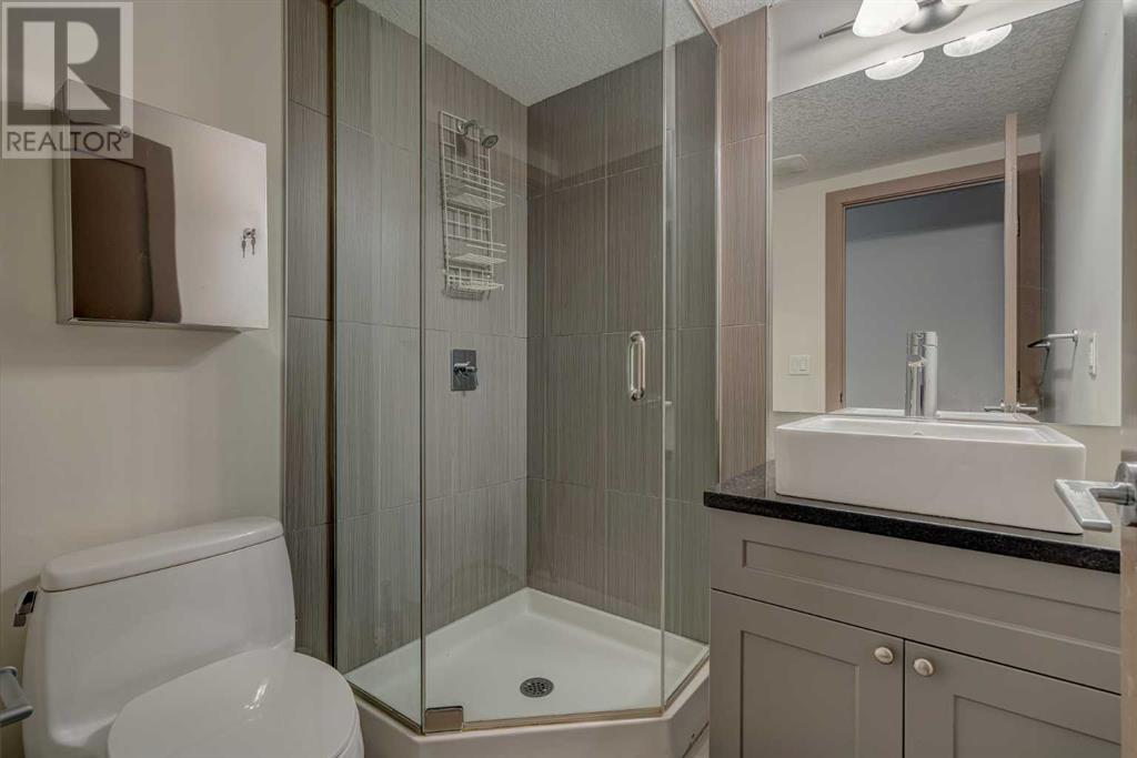 209, 1805 26 Avenue Sw, Calgary, Alberta  T2T 1E2 - Photo 25 - A2242190