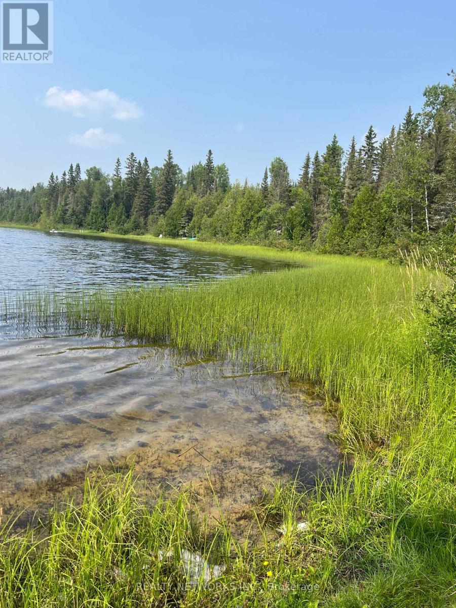 Con 4 Birchill Road E, Cochrane (Cochrane Unorganized), Ontario  P0L 1C0 - Photo 11 - T12309468