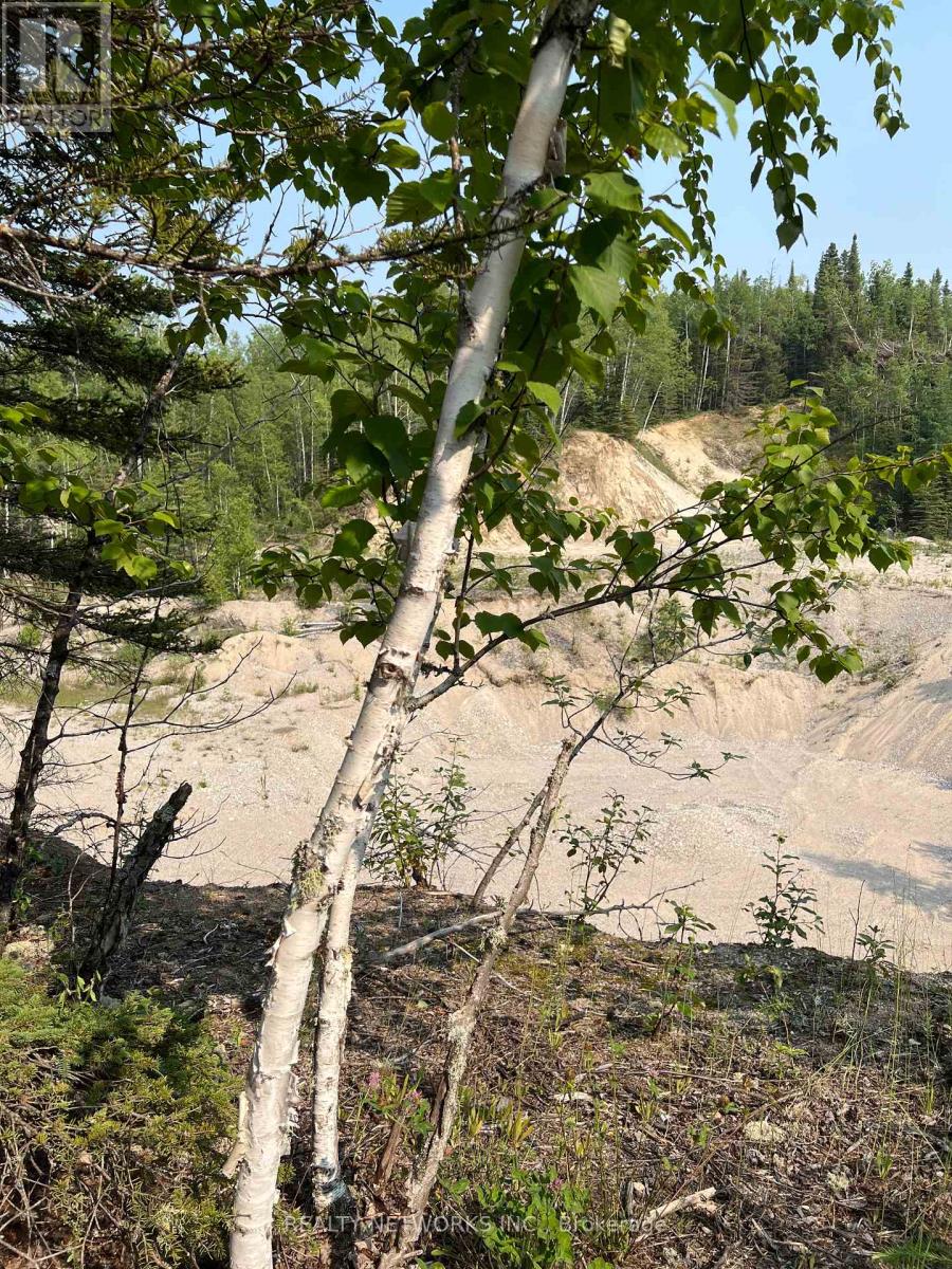 Con 4 Birchill Road E, Cochrane, Ontario  P0L 1C0 - Photo 7 - T12309468